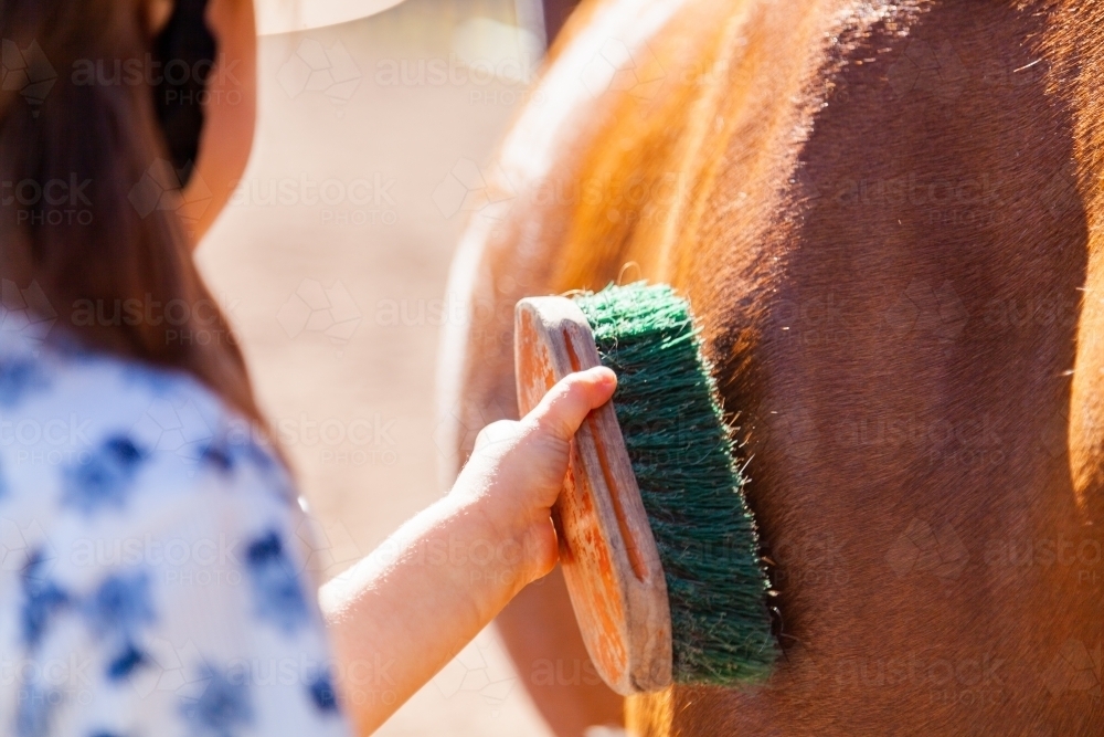 Horse riding student brushing her horse before lesson - Australian Stock Image