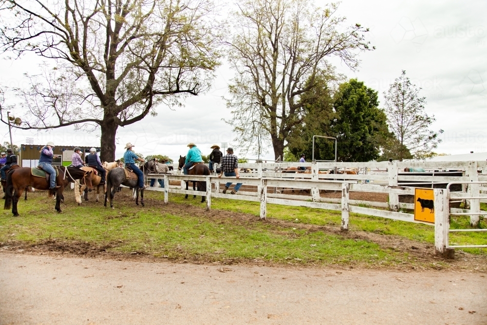 Horses and riders waiting for campdrafting competition to start at showground - Australian Stock Image