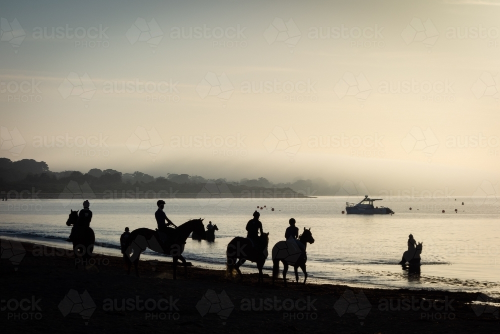 Horses at sunrise on a Victorian beach - Australian Stock Image