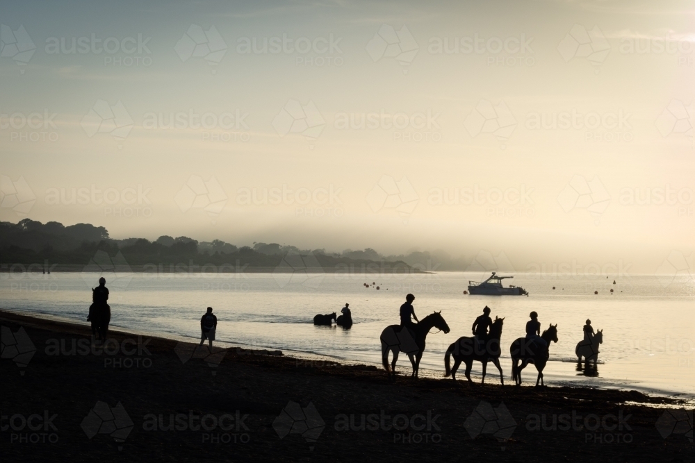 Horses at sunrise on a Victorian beach - Australian Stock Image