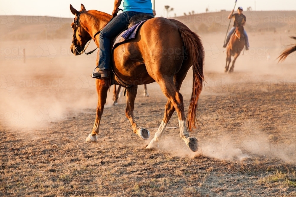 Horses kicking up brown dust in dry arena - Australian Stock Image