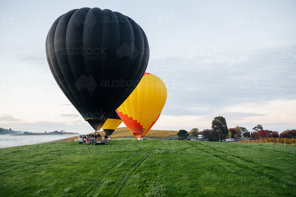 Hot Air Balloons taking off from green paddock on cold winter morning - Australian Stock Image
