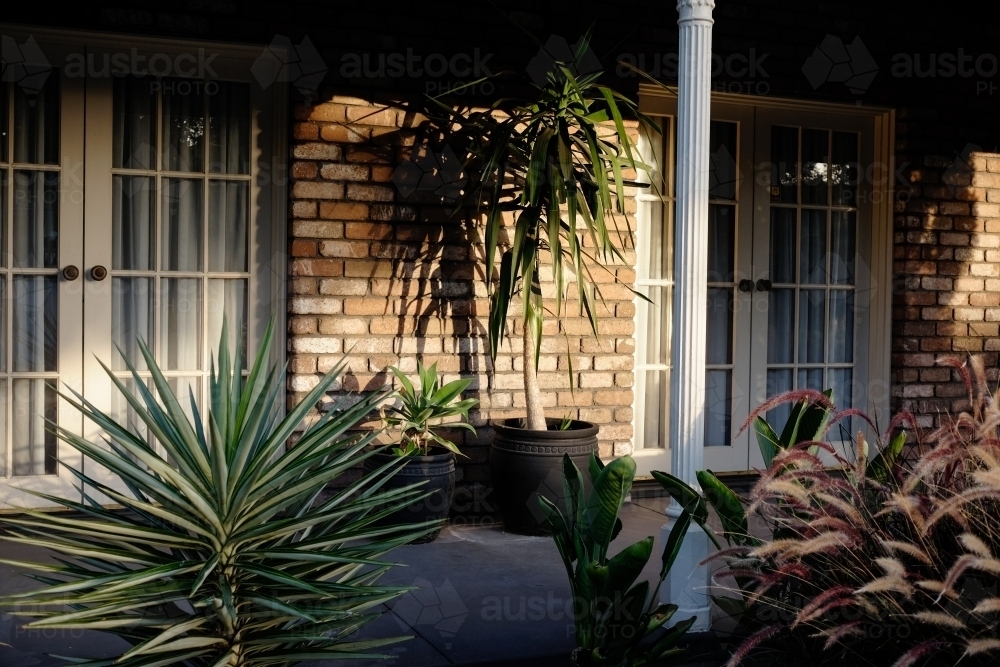 House and front garden in fading light - Australian Stock Image