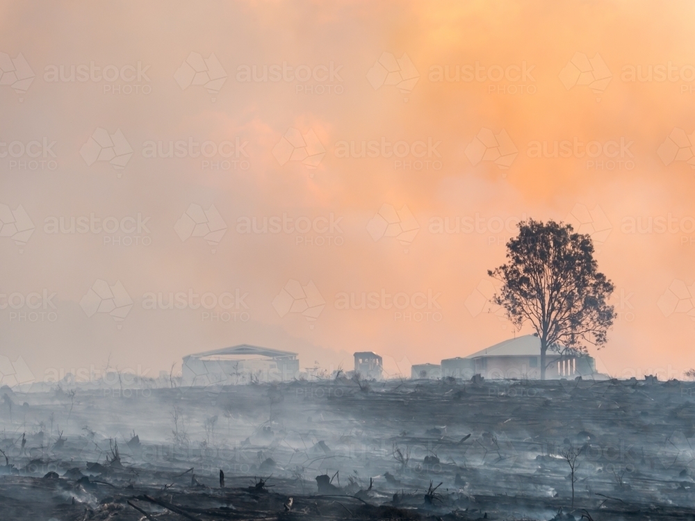 House and tree in a burnt landscape with orange smoke - Australian Stock Image