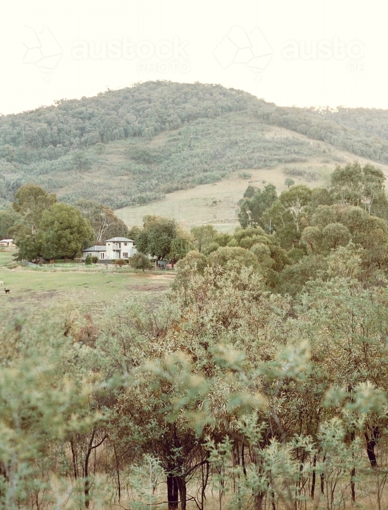 House at the base of a mountain with trees in the foreground - Australian Stock Image