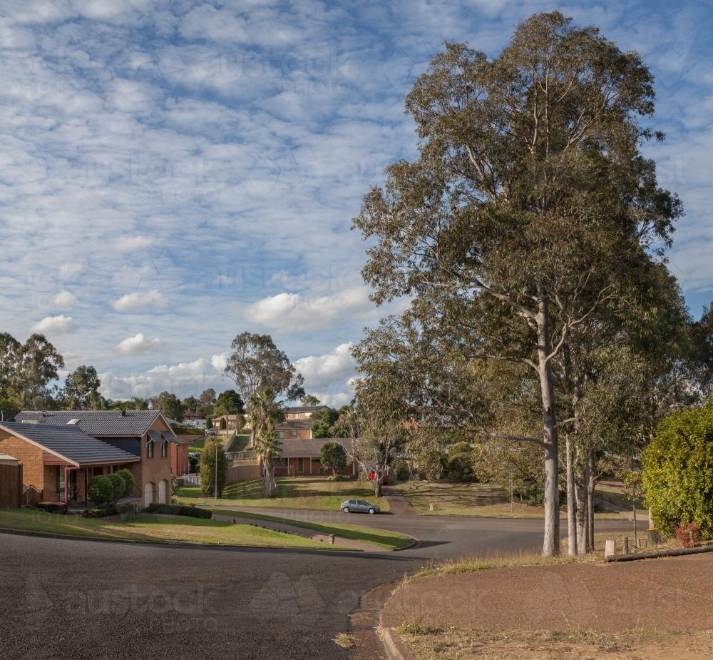 Houses, gumtrees and streets in a town - Australian Stock Image