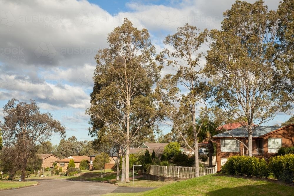 Houses, gumtrees and streets in a town - Australian Stock Image