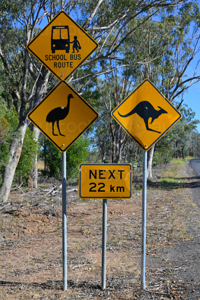 Image of Iconic Australian road signs with emu and kangaroo warnings ...