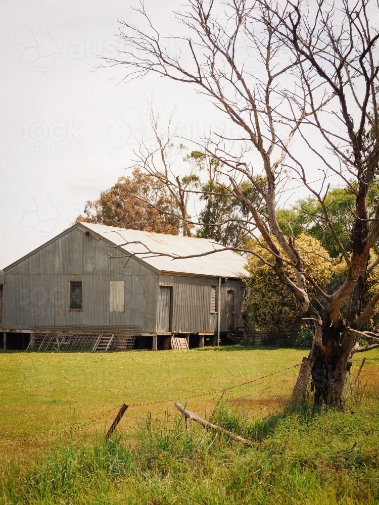 Iconic country shearing shed set amongst the trees - Australian Stock Image