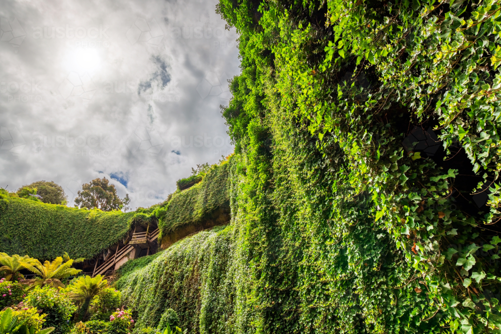Iconic Umpherston Sinkhole Cave Gardens viewed from the bottom grounds, Mt Gambier, Limestone Coast, - Australian Stock Image