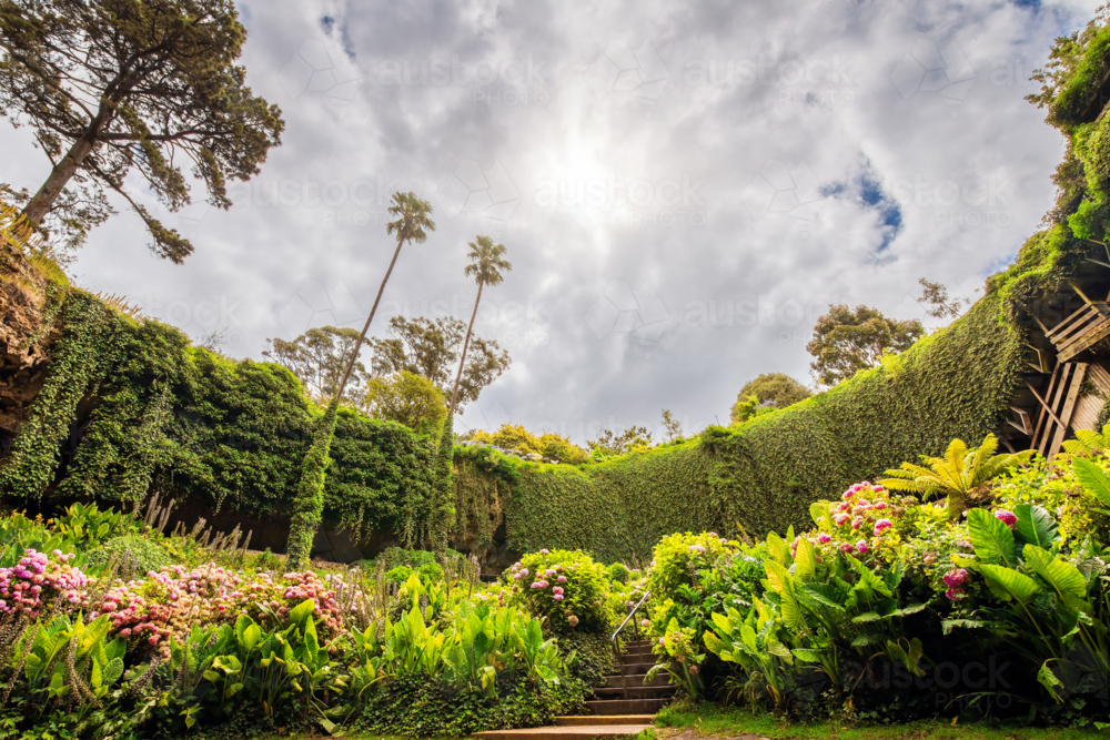 Iconic Umpherston Sinkhole Cave Gardens viewed from the bottom grounds, Mt Gambier, Limestone Coast, - Australian Stock Image
