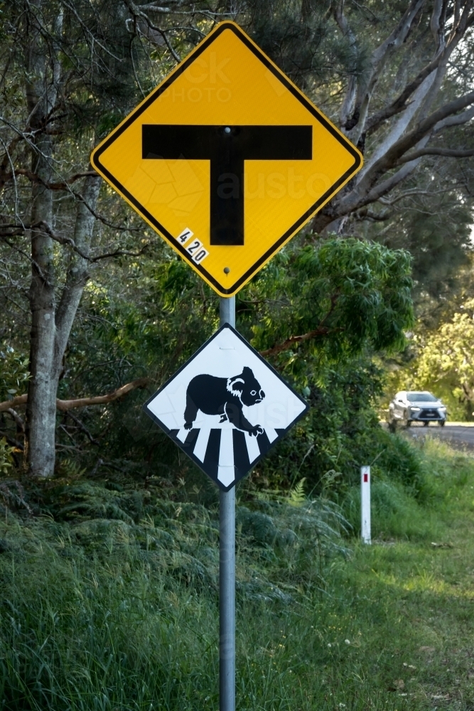 Intersection road sign & black and white road sign warning that koalas cross here - Australian Stock Image