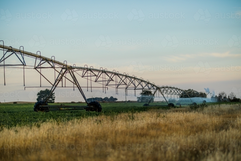 Irrigation of peas in paddock - Australian Stock Image