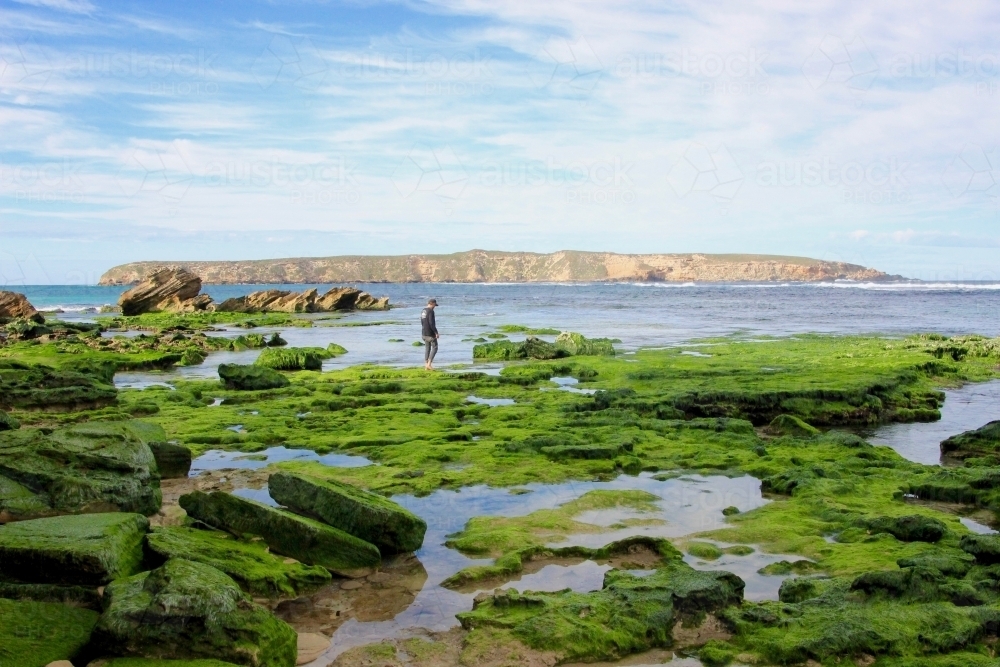Island at low tide over green rocks - Australian Stock Image