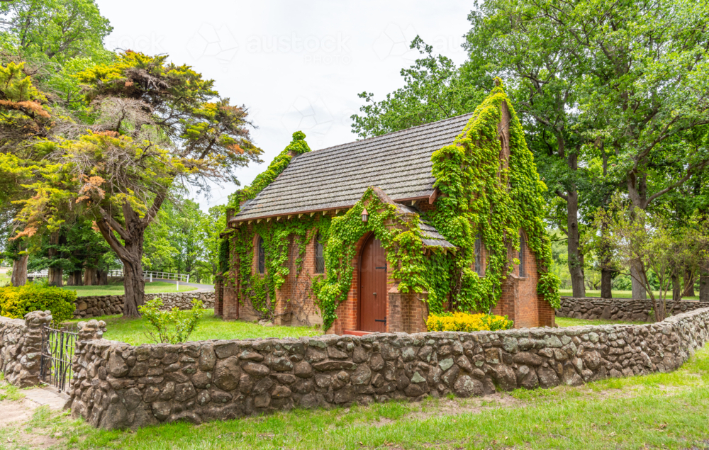 Ivy covered Gostwyck chapel near Uralla New England surrounded by Elm trees - Australian Stock Image
