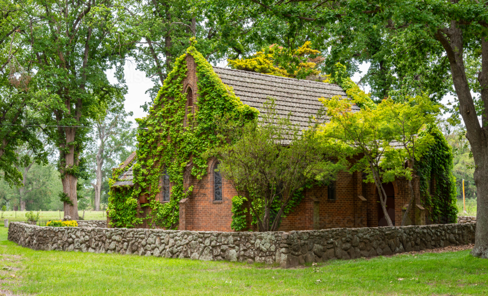 Ivy covered Gostwyck chapel near Uralla New England surrounded by Elm trees - Australian Stock Image