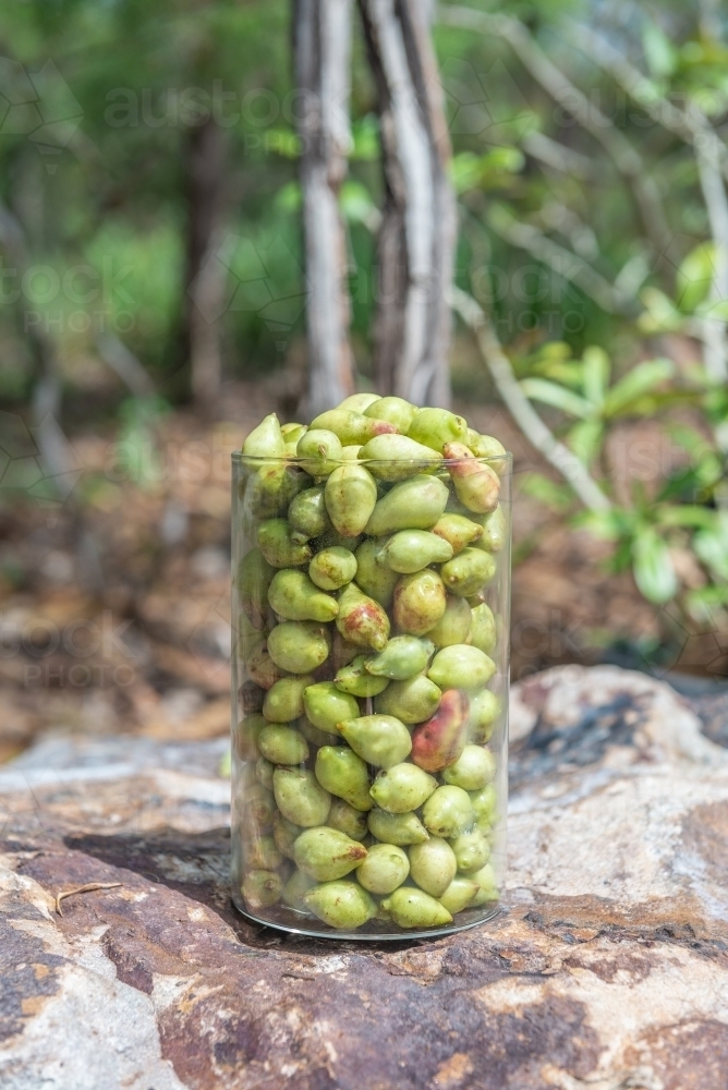 Jar of Kakdu Plums - Australian Stock Image