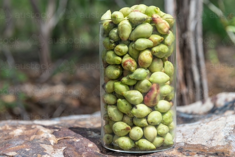 Jar of Kakdu Plums - Australian Stock Image