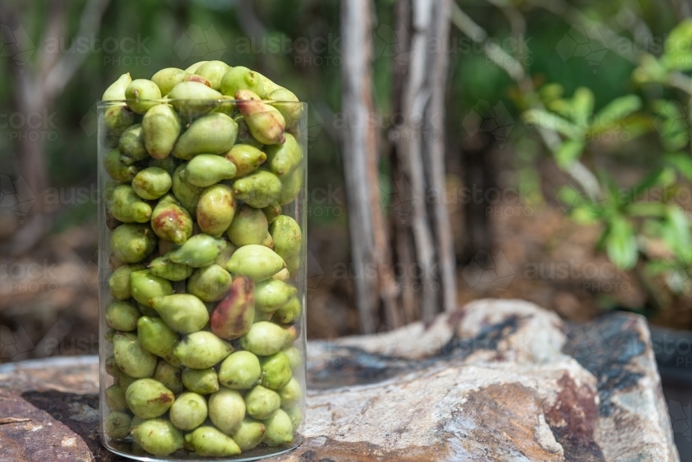 Jar of Kakdu Plums - Australian Stock Image