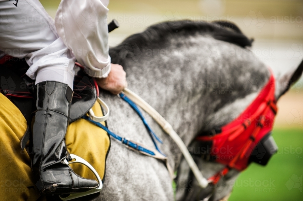 Jockey in White on a Race Horse - Australian Stock Image