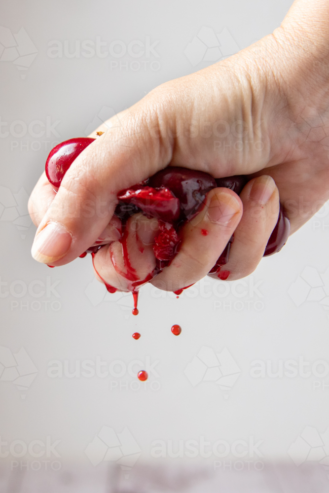Juicy cherries being squeezed by hand - Australian Stock Image