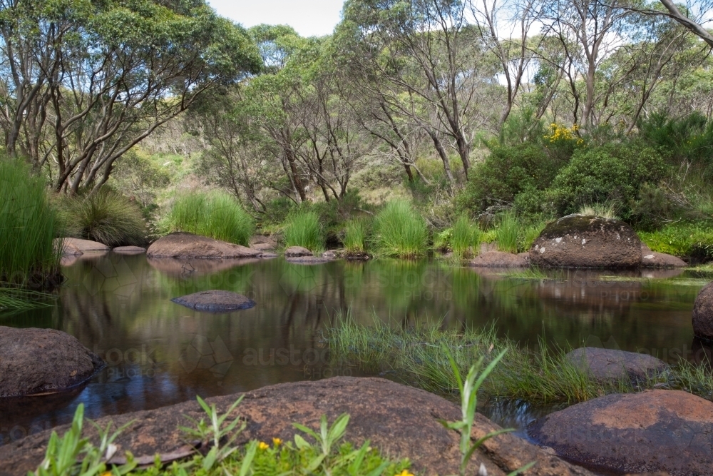 Junction Pools in the bush - Australian Stock Image
