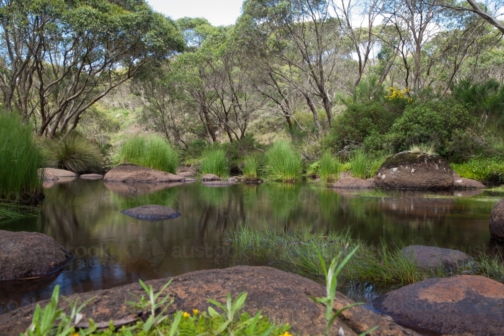 Junction Pools in the bush - Australian Stock Image