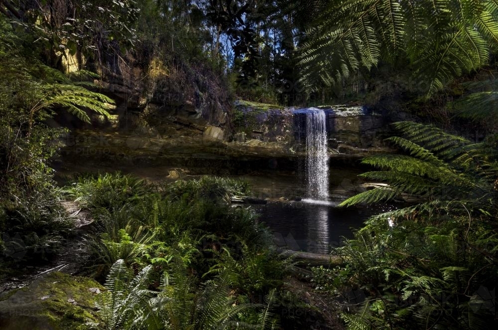 Kalimna Falls with Ferns - Australian Stock Image