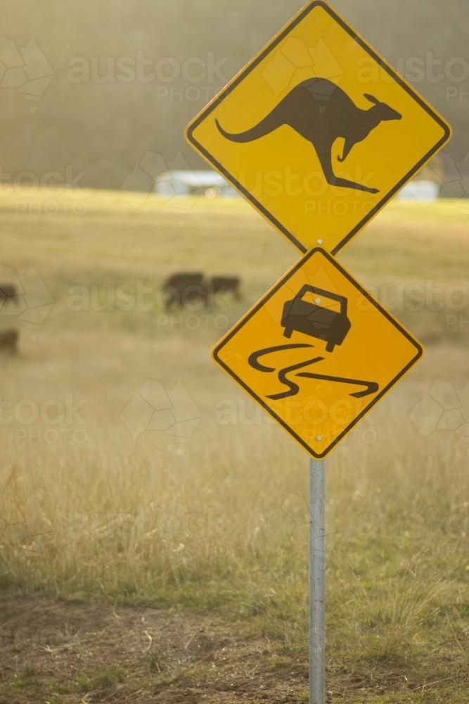 Kangaroo and Slippery Road Sign in Paddock - Australian Stock Image