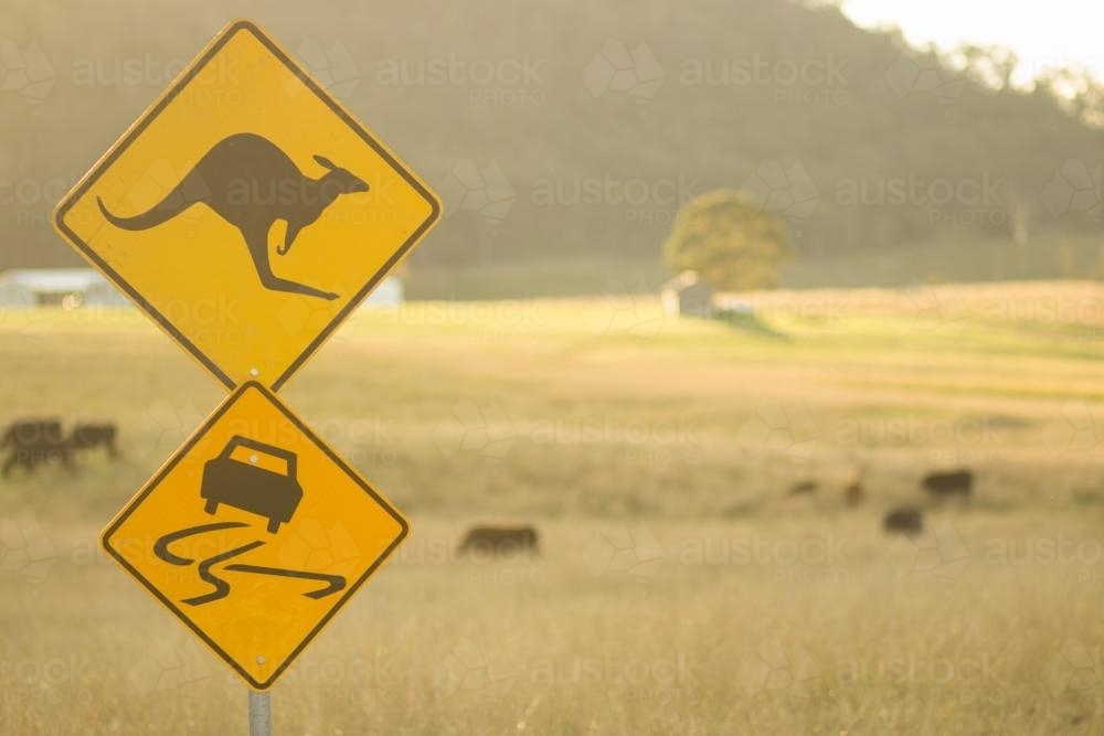 Kangaroo and slippery road signs in paddock beside dirt track - Australian Stock Image