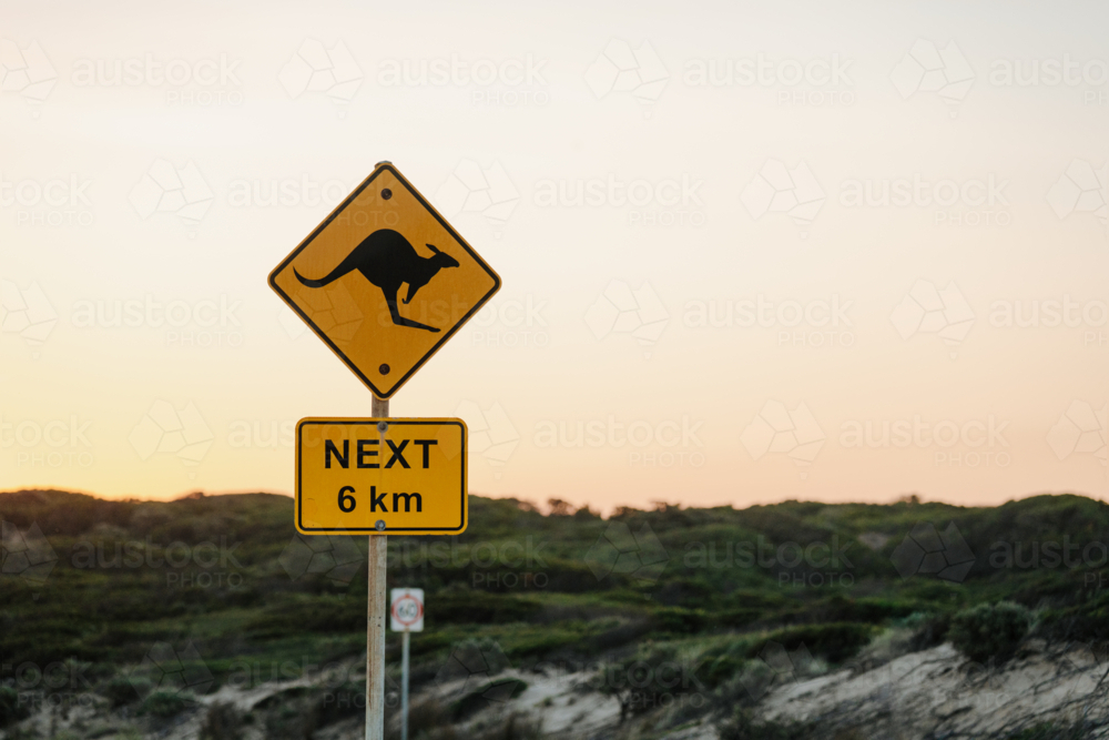 Kangaroo crossing road sign at sunset - Australian Stock Image