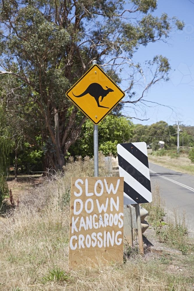 Kangaroo crossing sign in country Victoria - Australian Stock Image