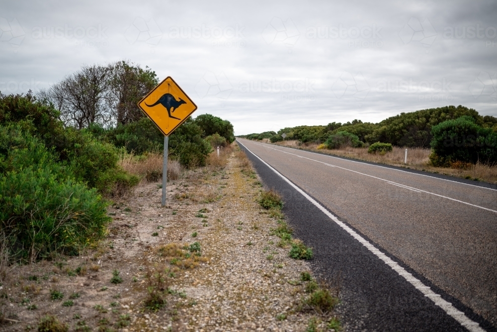 Kangaroo crossing sign on an empty road - Australian Stock Image
