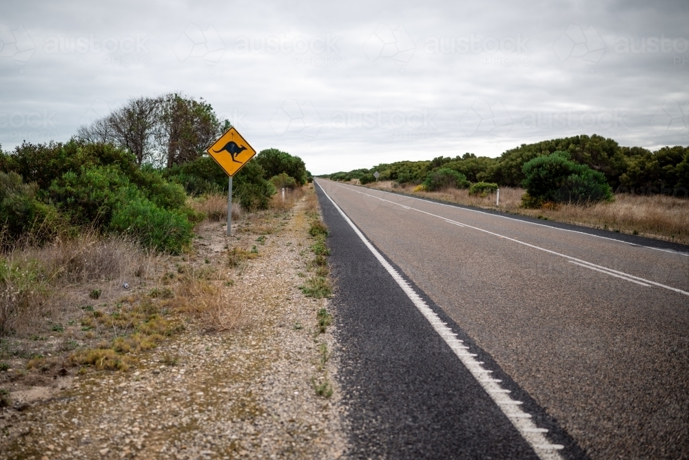 Kangaroo crossing sign on an empty road - Australian Stock Image