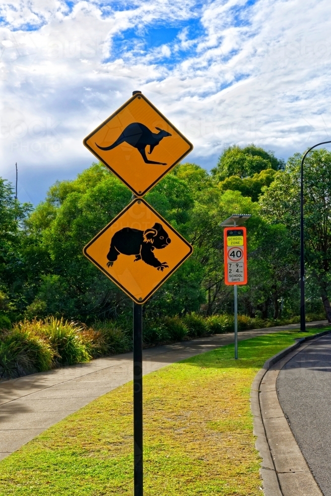 Kangaroo, Koala warning sign near a 40km school zone signal on the side of the road - Australian Stock Image