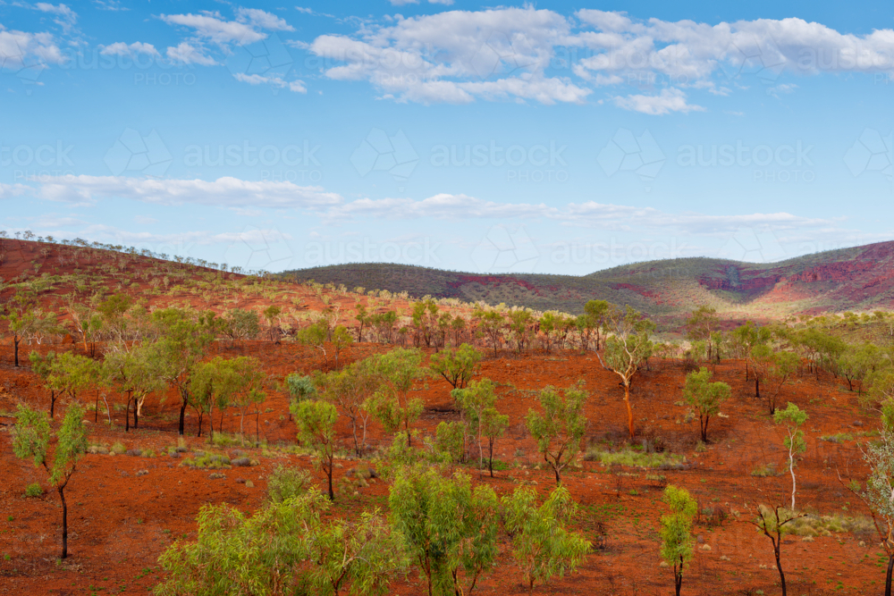 Karijini National Park Wilderness After The Rains - Australian Stock Image
