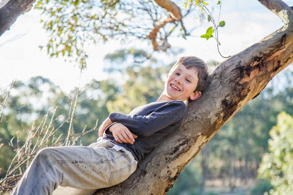 Kid relaxing up a gum tree - Australian Stock Image