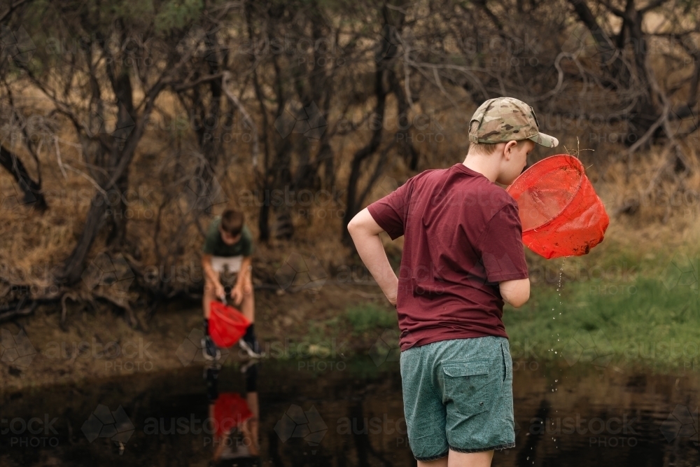 Kids catching tadpoles. Outdoor nature activity. - Australian Stock Image