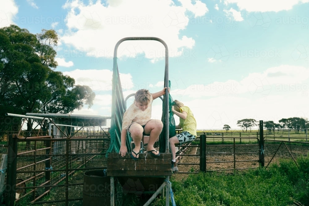 Kids climbing on cattle yard stock ramp on farm - Australian Stock Image