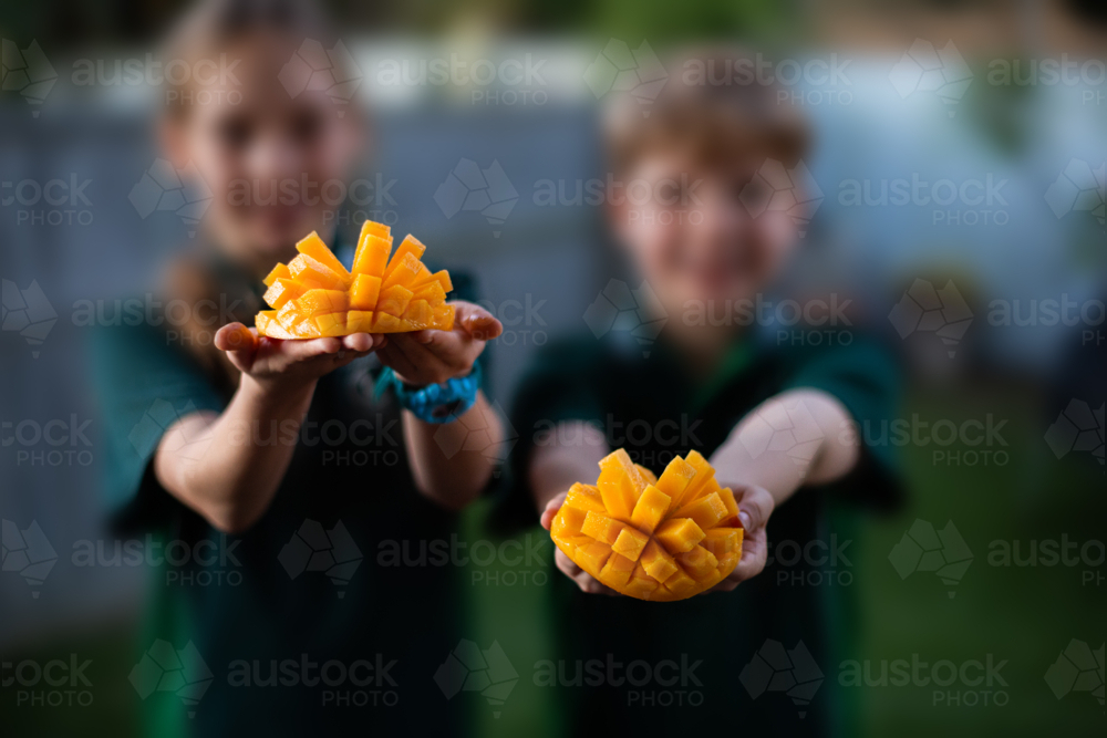 kids eating sliced mangoes in the back yard at dusk - Australian Stock Image