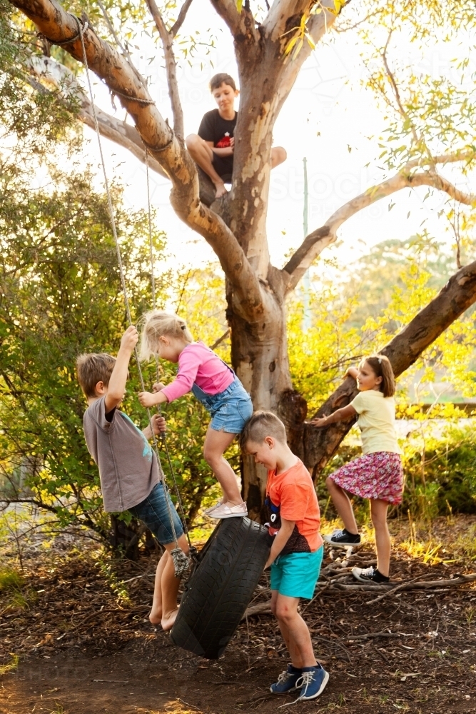 Kids playing with friends in tree and tyre swing - Australian Stock Image