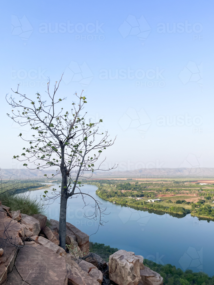 Kimberley’s Landscape overlooking Ord river with single tree in foreground on still clear day - Australian Stock Image