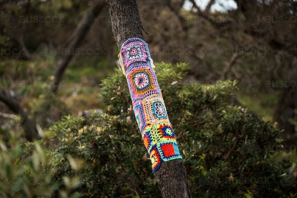Knitting on a tree trunk - Australian Stock Image