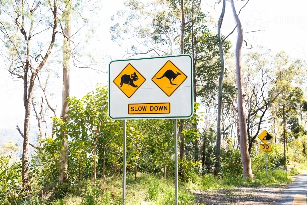 koala and kangaroo road signs - Australian Stock Image