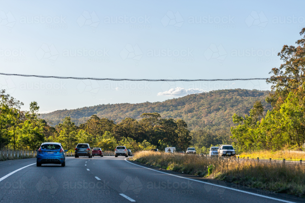 koala crossing bridge over cars on divided highway - Australian Stock Image