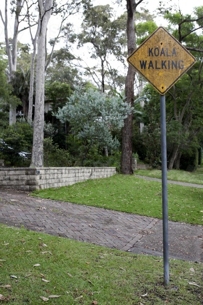 Koala Walking street sign - Australian Stock Image