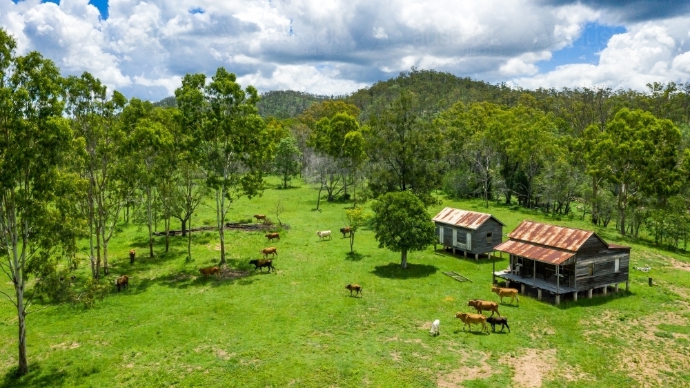 Kroombit Tops National Park summer landscape with disused homestead and vibrant green vegetation, Qu - Australian Stock Image