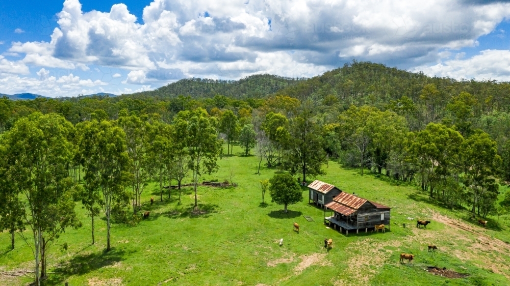Kroombit Tops National Park summer landscape with disused homestead and vibrant green vegetation, Qu - Australian Stock Image