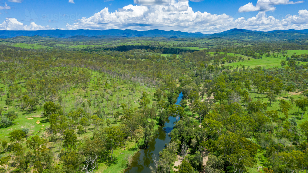 Kroombit Tops National Park summer landscape with freshwater creek and vibrant green vegetation - Australian Stock Image