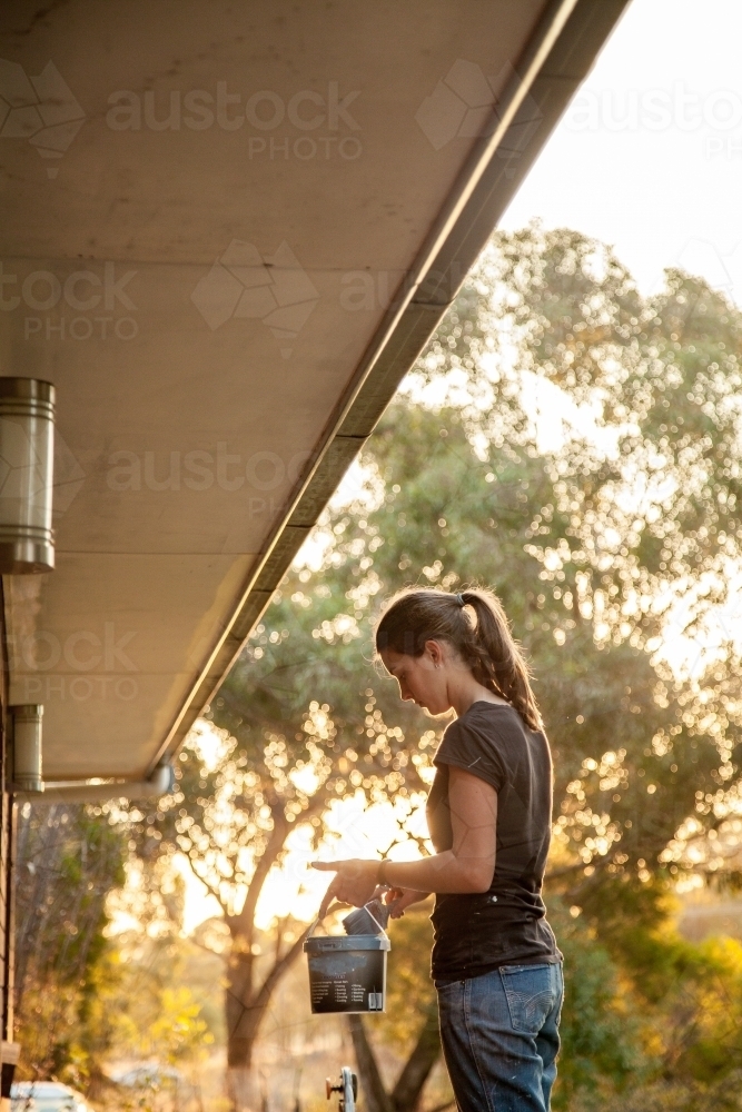 Lady tradie painting house bargeboards in afternoon light - Australian Stock Image